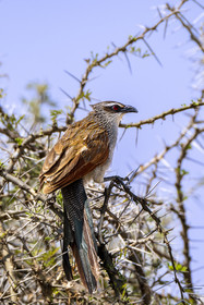 0134-tanzanie-2022.jpg