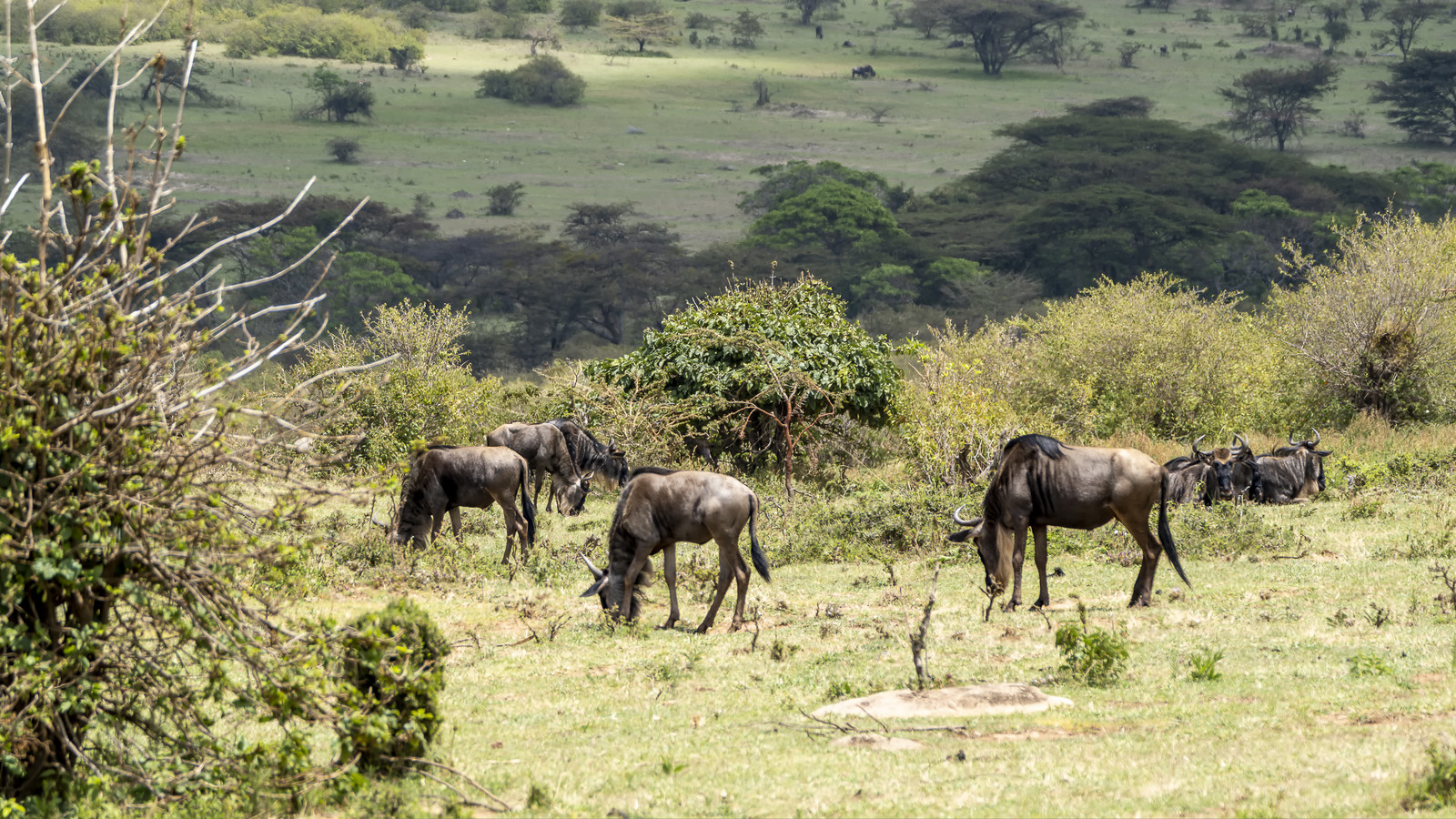 0207-tanzanie-2022.jpg