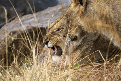 0173-tanzanie-2022.jpg