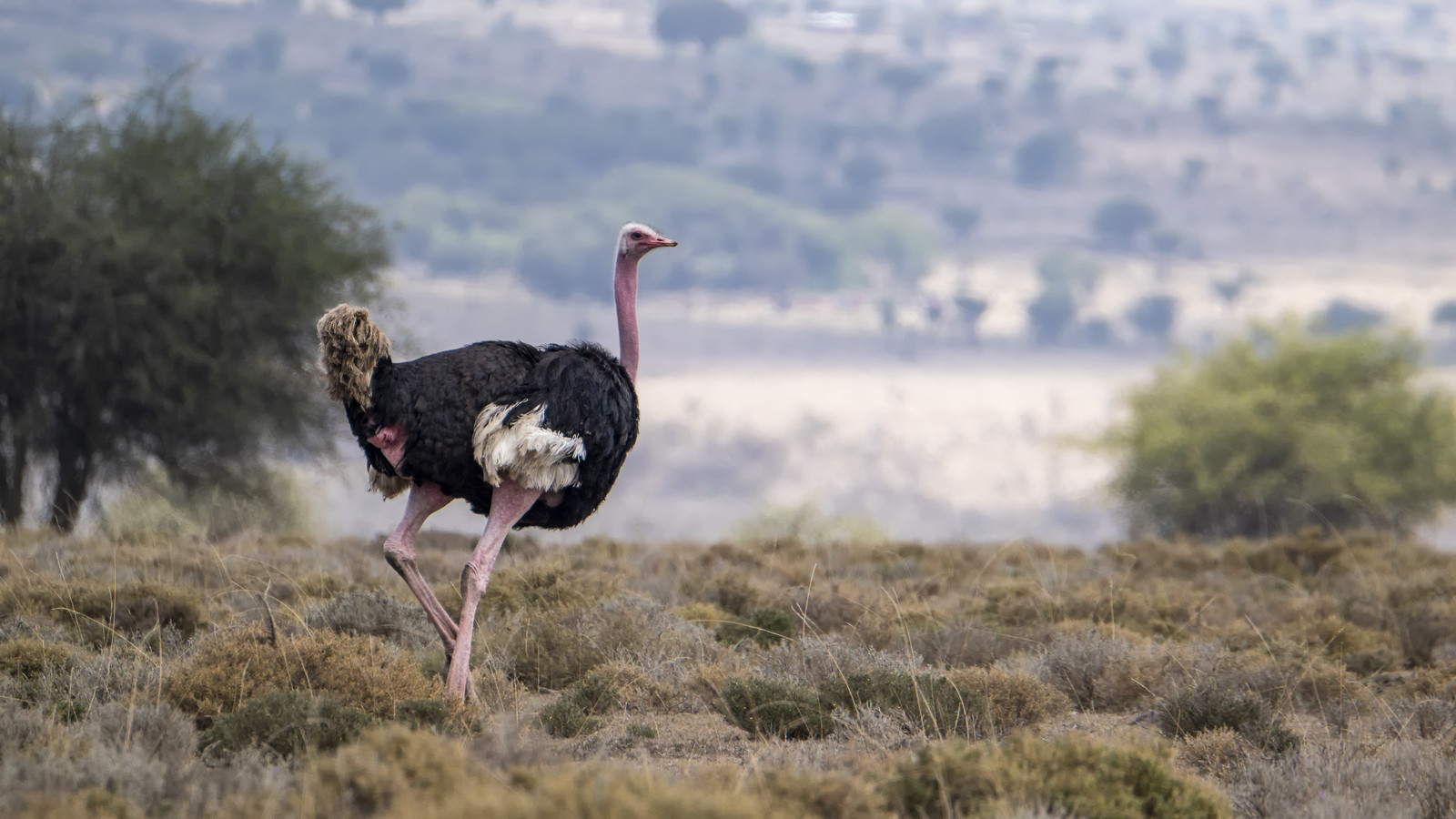 0210-tanzanie-2022.jpg