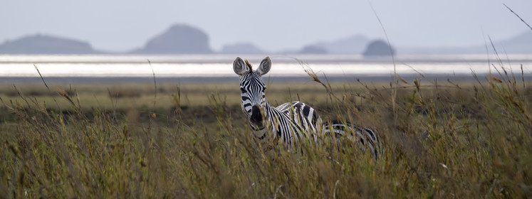 0257-tanzanie-2022.jpg