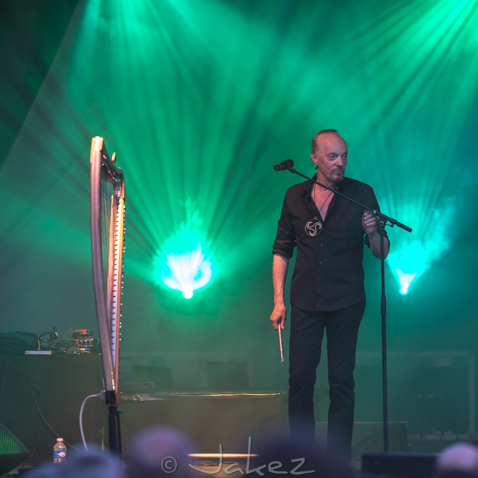 17-Alan Stivell