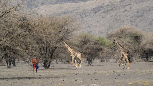 0228-tanzanie-2022.jpg