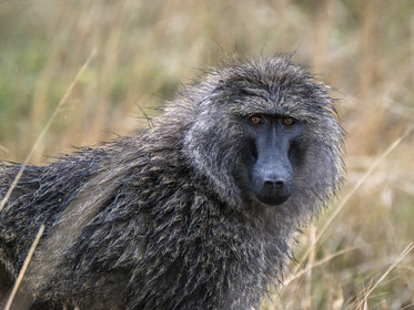 0147-tanzanie-2022.jpg