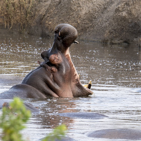 0101-tanzanie-2022.jpg