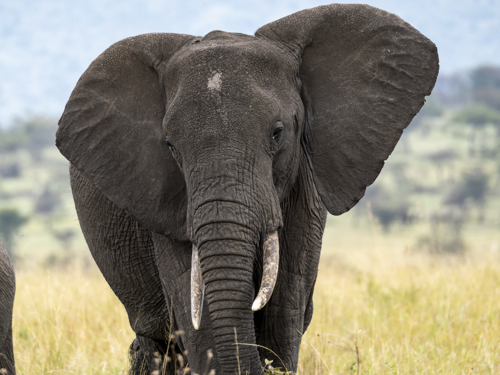 0187-tanzanie-2022.jpg