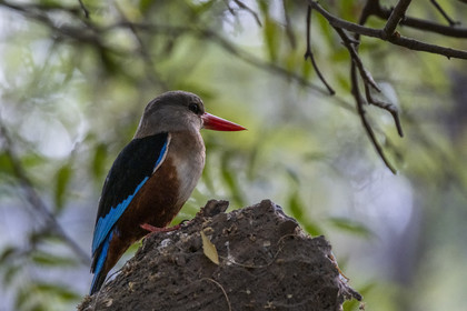 0216-tanzanie-2022.jpg