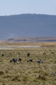 0074-tanzanie-2022.jpg