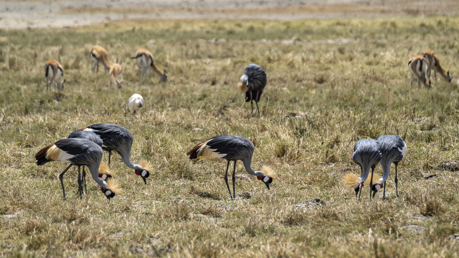0075-tanzanie-2022.jpg