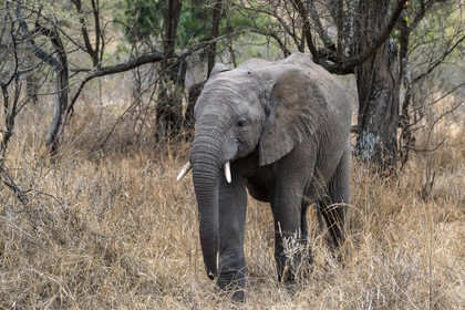 0143-tanzanie-2022.jpg