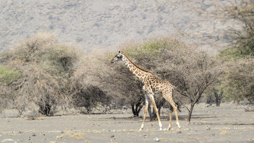 0231-tanzanie-2022.jpg