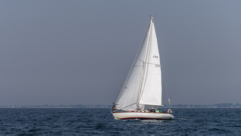 1128-21062025.jpg