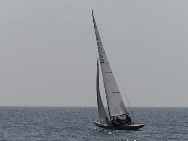 1313-21062025.jpg