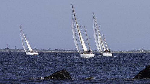 195.jpg