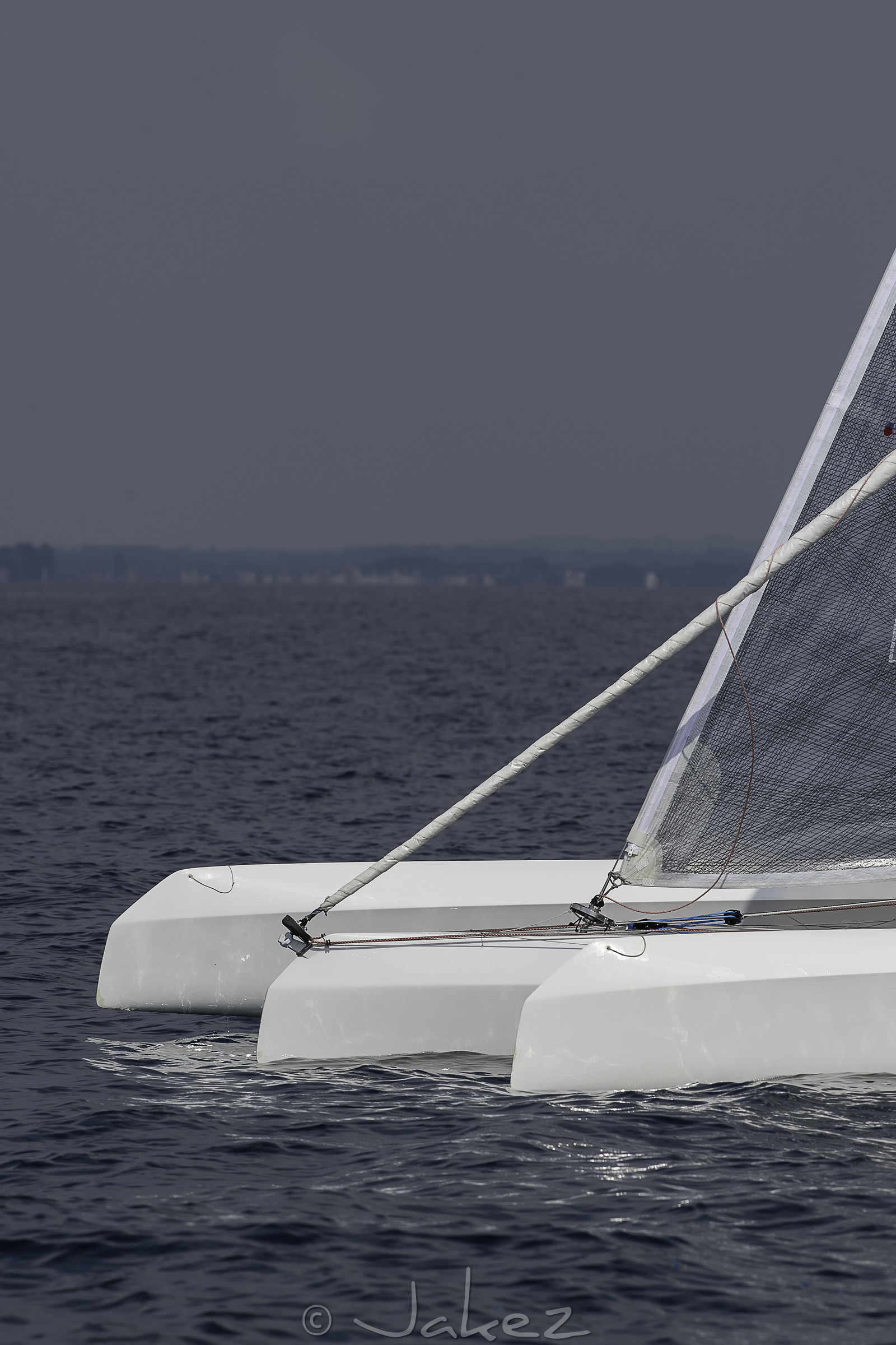 84-multyco-2016.jpg