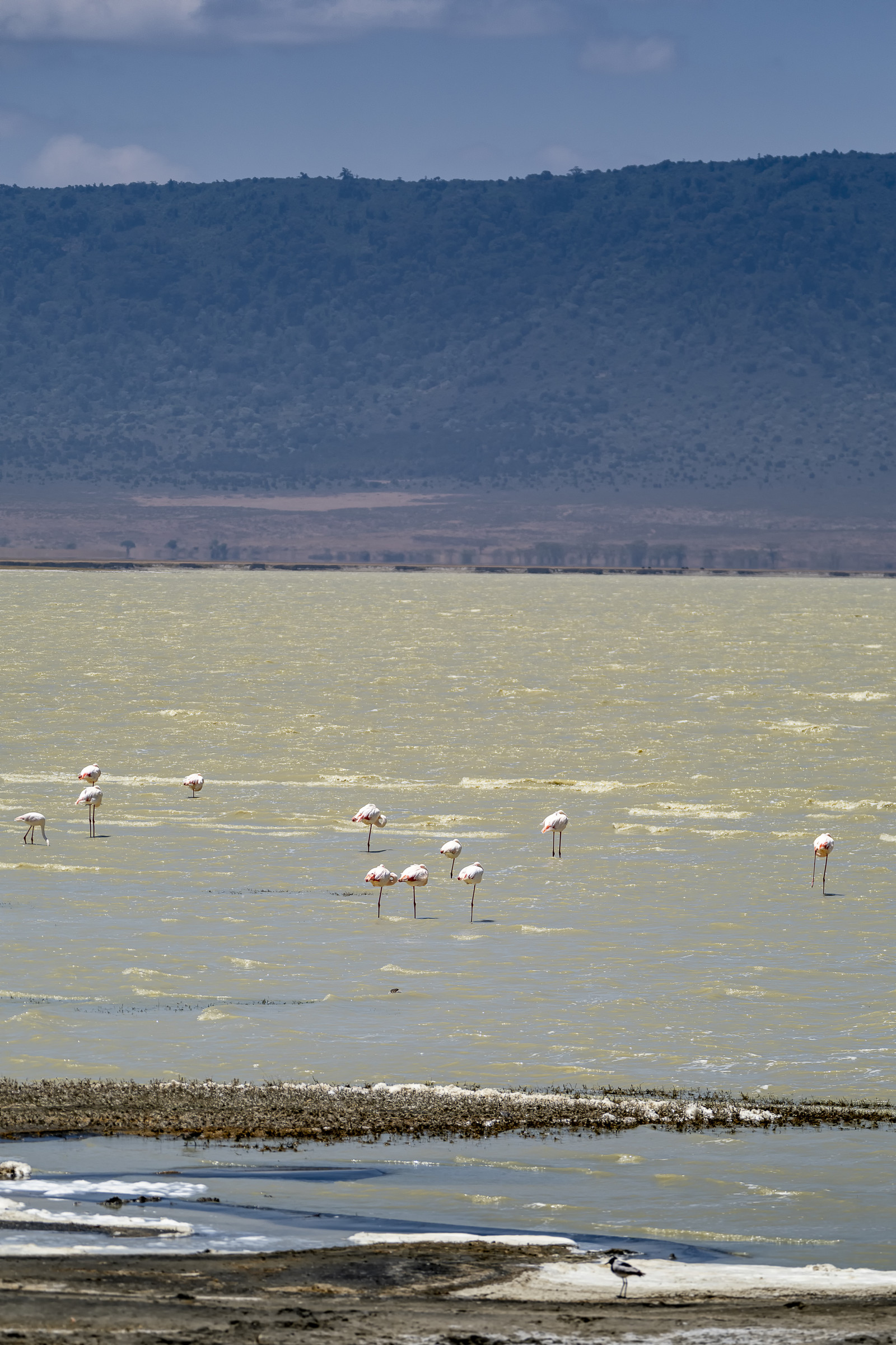 0089-tanzanie-2022.jpg