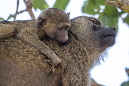 0018-tanzanie-2022.jpg