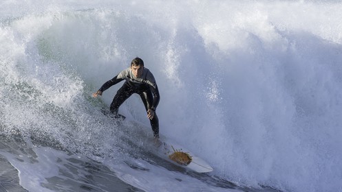 145-la-torche-2015-11-01.jpg