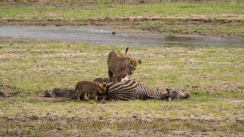 0009-tanzanie-2022.jpg