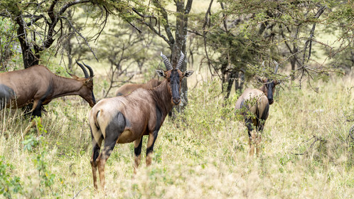 0196-tanzanie-2022.jpg