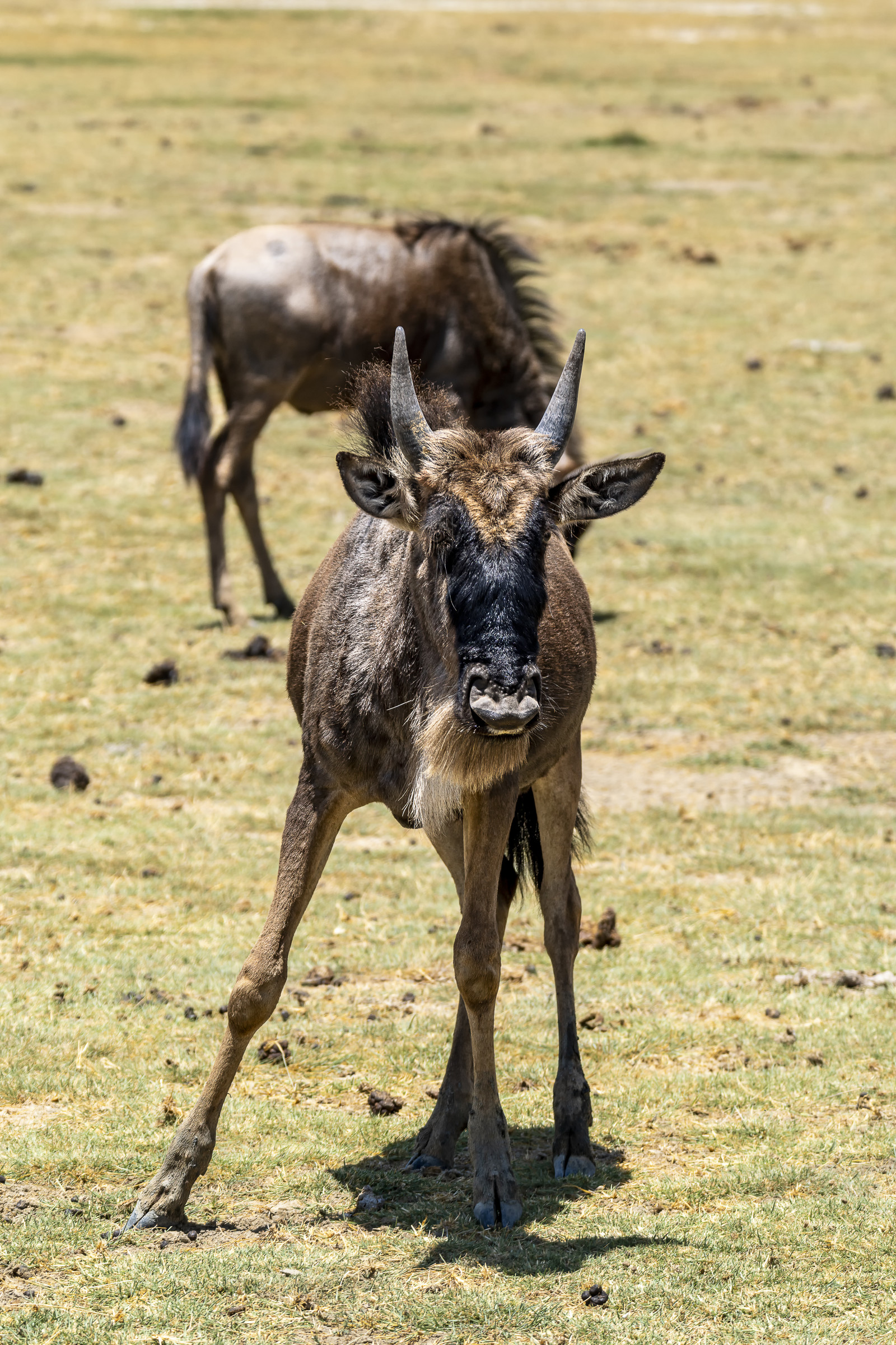0084-tanzanie-2022.jpg