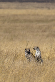 0135-tanzanie-2022.jpg