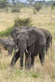 0180-tanzanie-2022.jpg