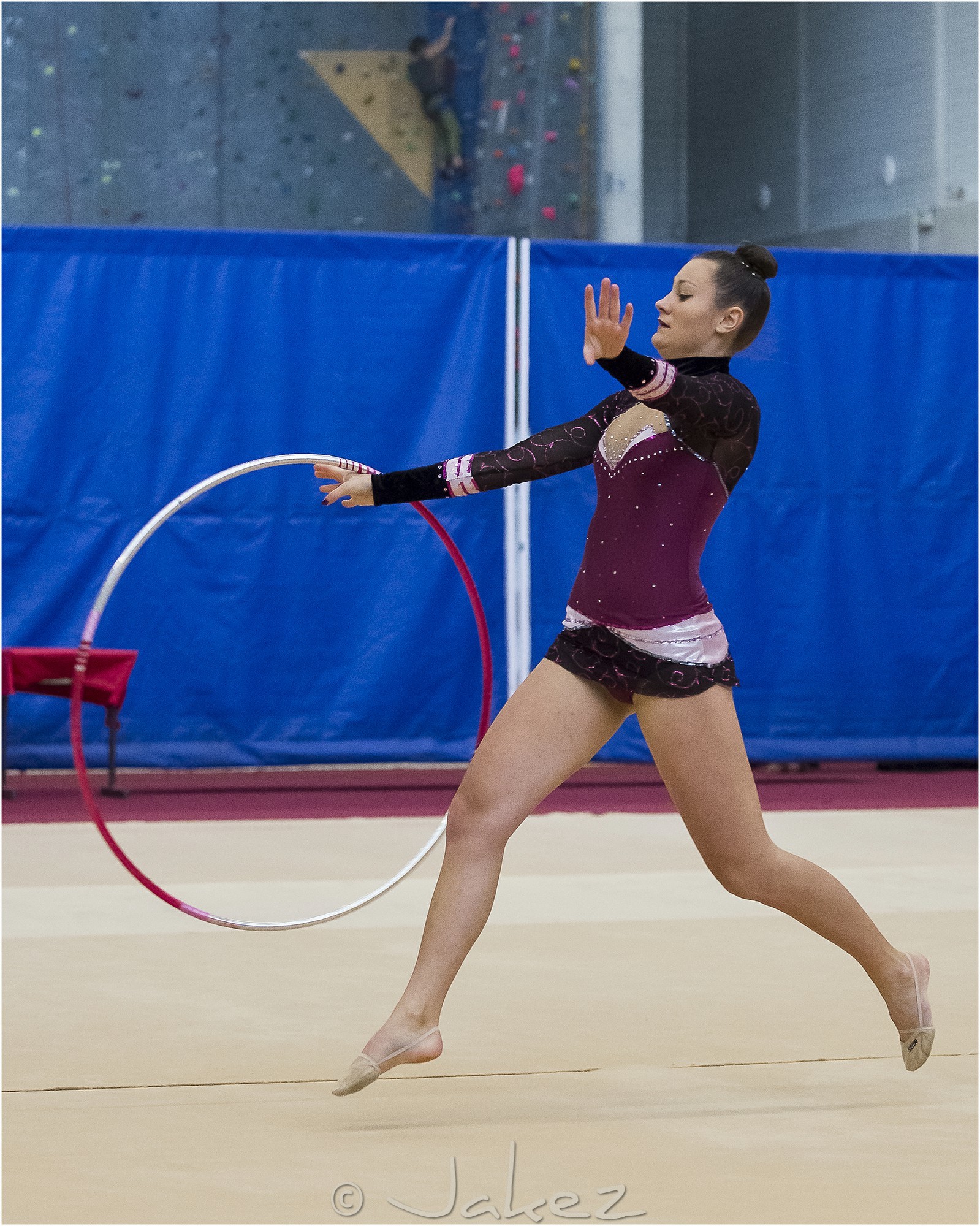 R1-026-36-QUINQUIS Yolaine