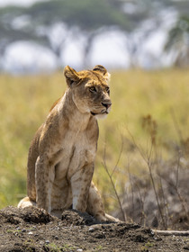 0120-tanzanie-2022.jpg