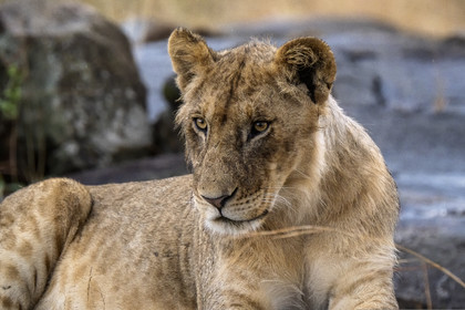 0149-tanzanie-2022.jpg