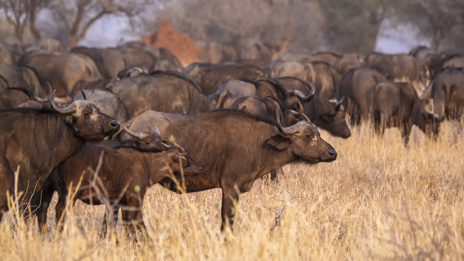 0002-tanzanie-2022.jpg