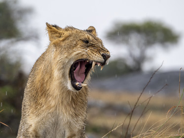 0171-tanzanie-2022.jpg