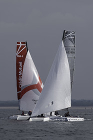 56-multyco-2016.jpg