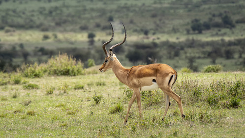 0200-tanzanie-2022.jpg