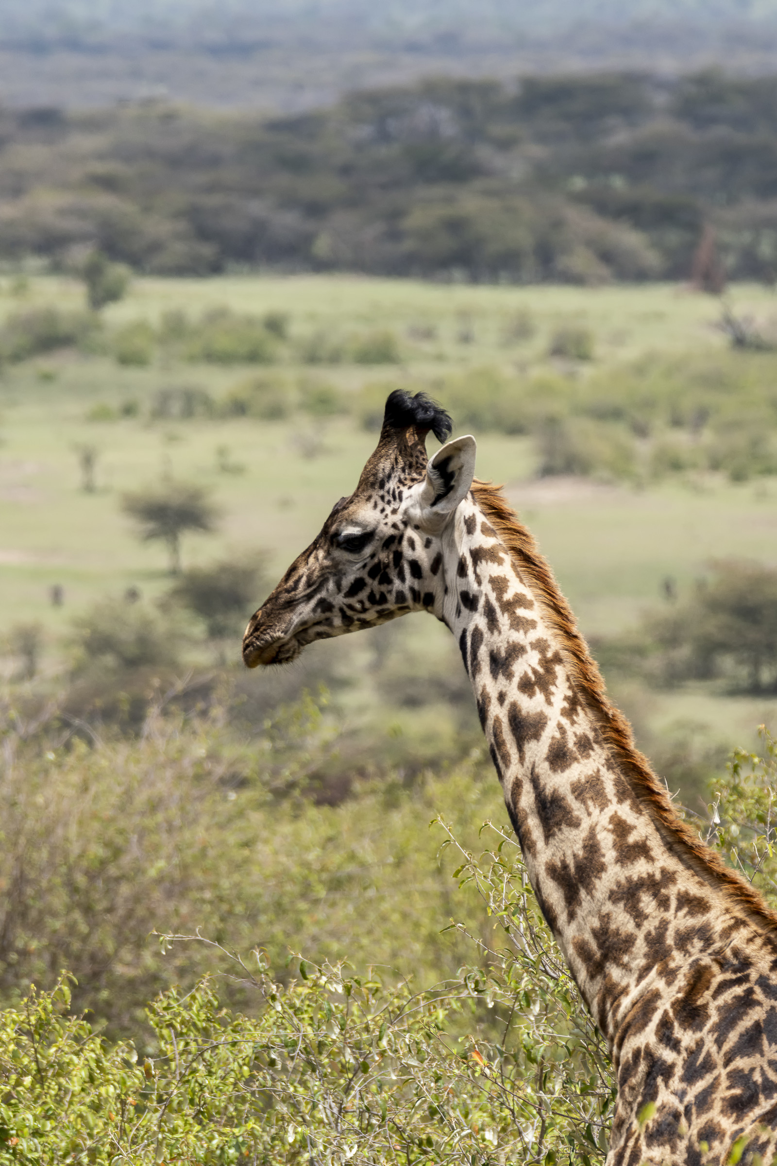 0205-tanzanie-2022.jpg