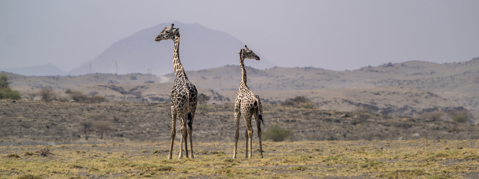 0224-tanzanie-2022.jpg
