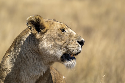0126-tanzanie-2022.jpg