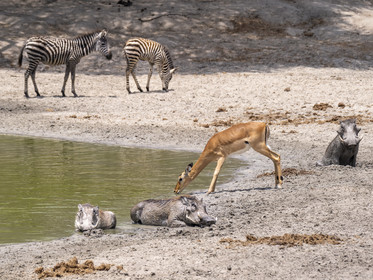 0034-tanzanie-2022.jpg