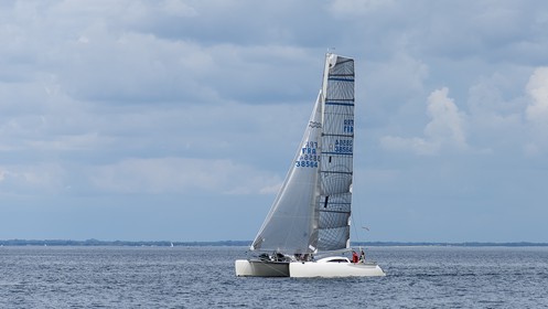 79.jpg