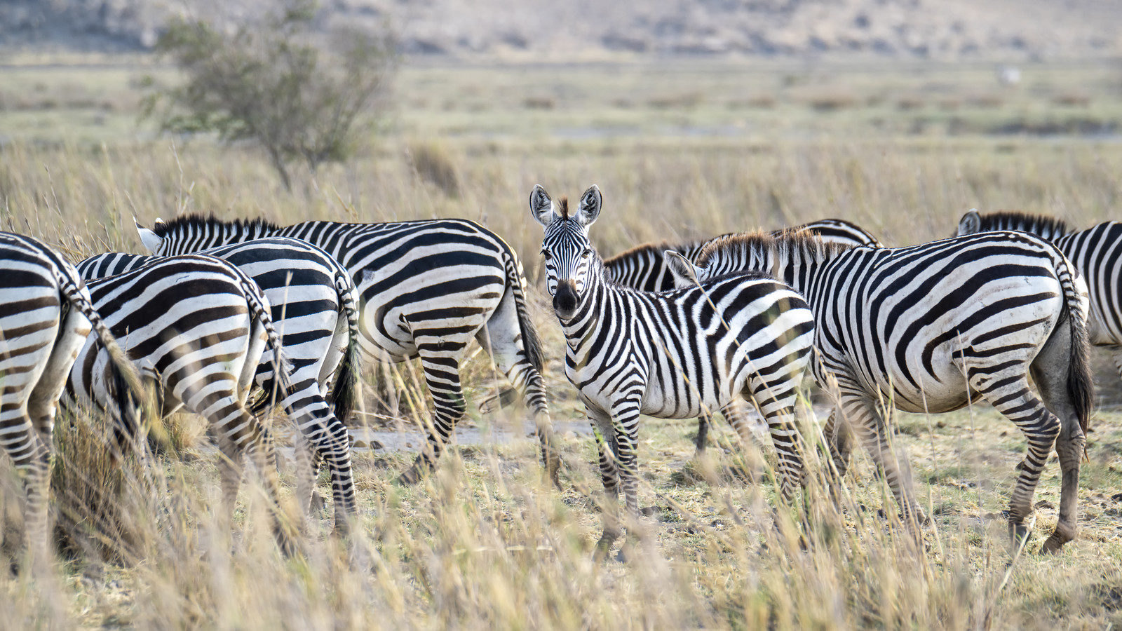 0256-tanzanie-2022.jpg