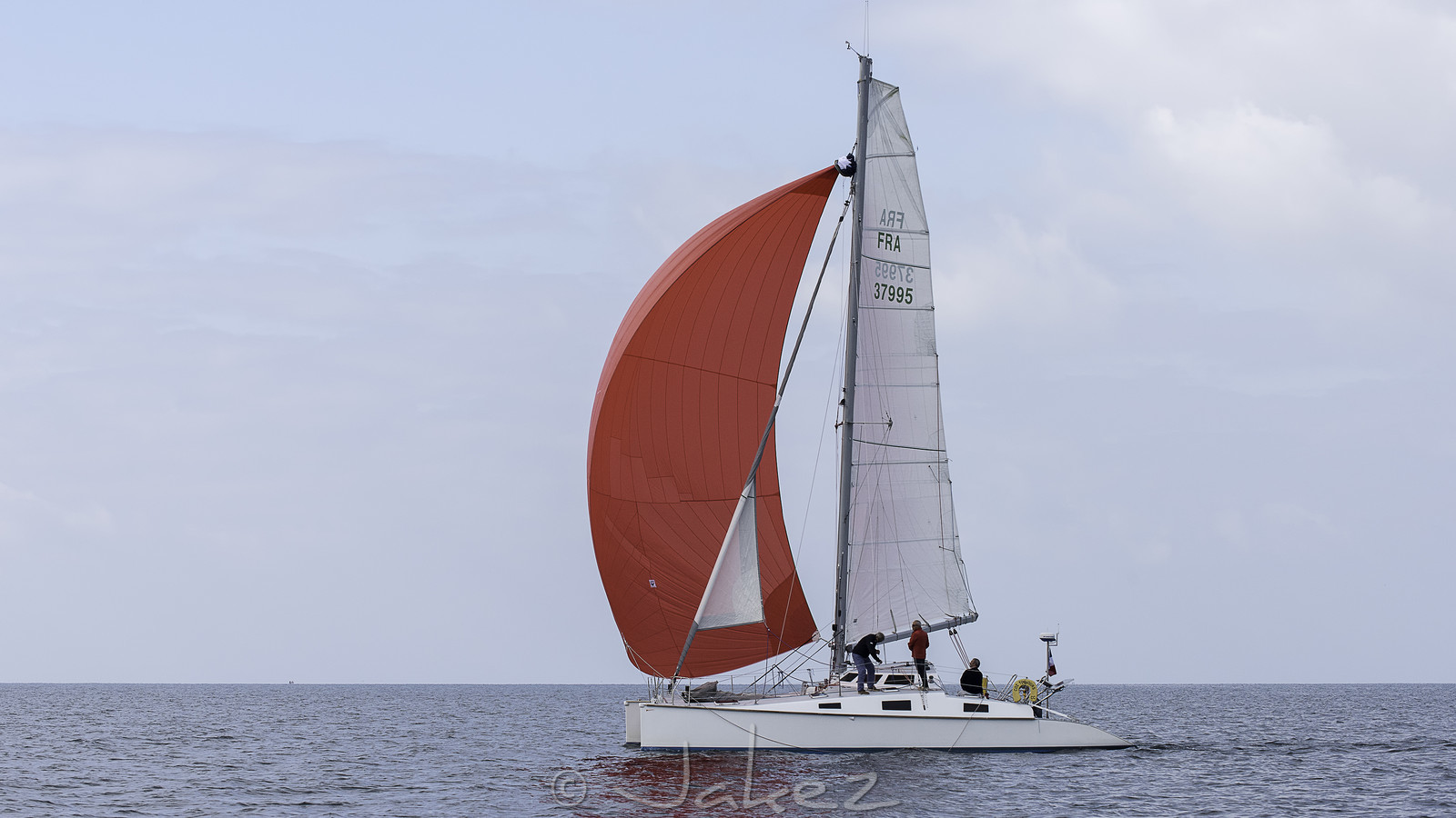 28-multyco-2016.jpg