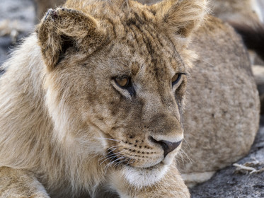 0006-tanzanie-2022.jpg