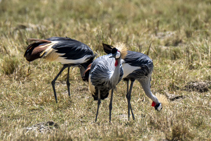0073-tanzanie-2022.jpg