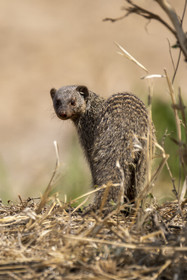 0029-tanzanie-2022.jpg