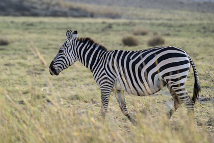 0255-tanzanie-2022.jpg