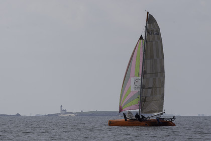 46-multyco-2016.jpg