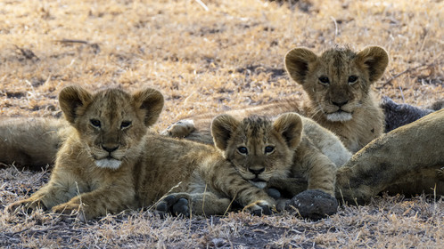 0053-tanzanie-2022.jpg