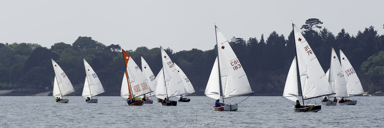 022-cara-cup.jpg
