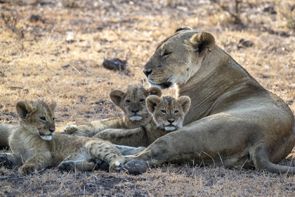 0055-tanzanie-2022.jpg